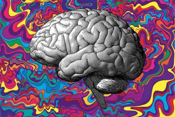 Brain psychedelics illustration