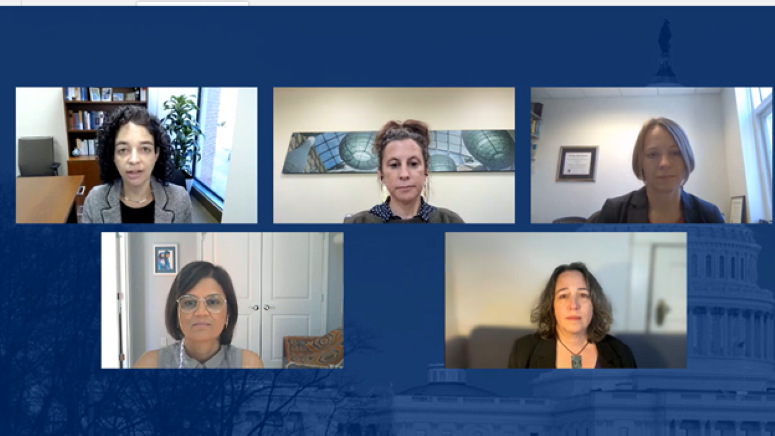 five experts discuss food insecurity during zoom meeting