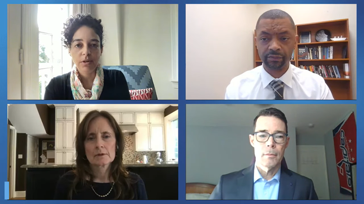 four experts in zoom meeting on gun violence