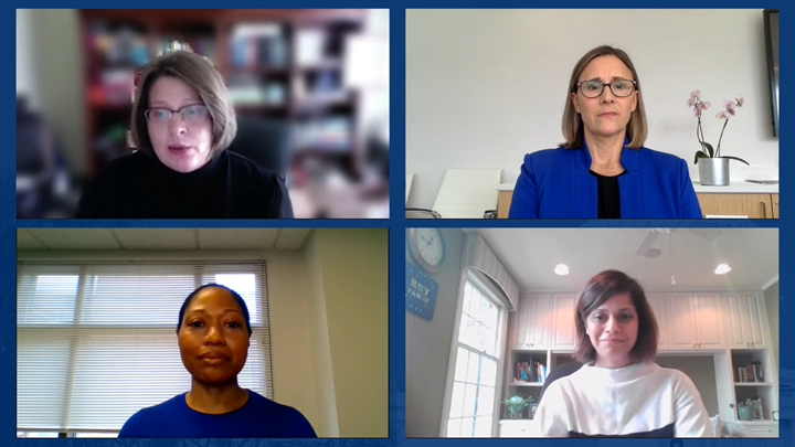 four experts discuss maternal health in zoom meeting