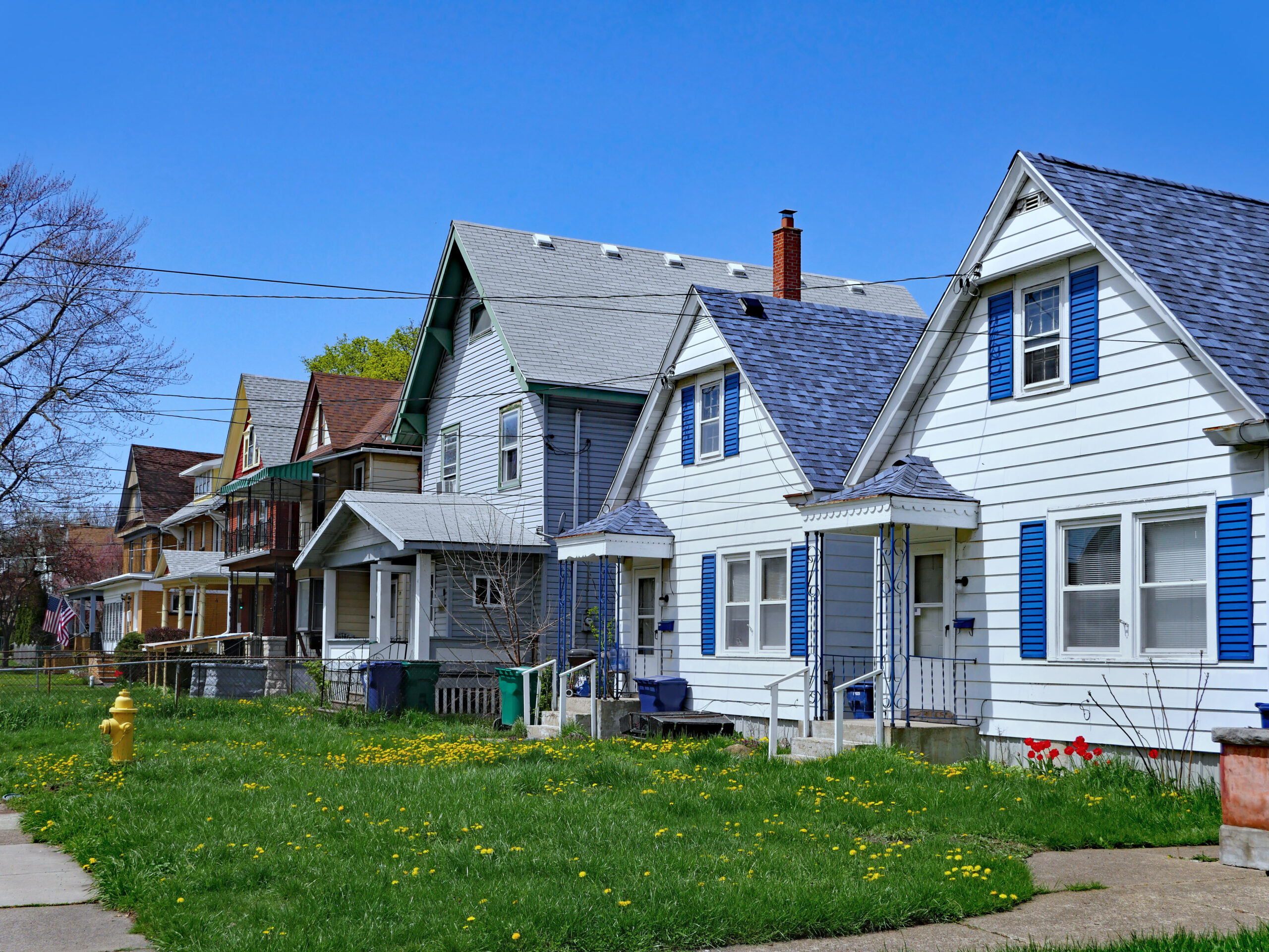 A row of houses with small lawns dotted with dandelions